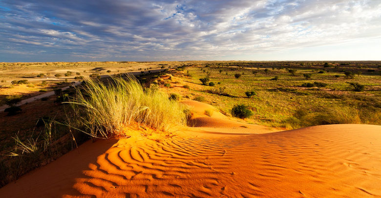 Kgalagadi Transfrontier Park