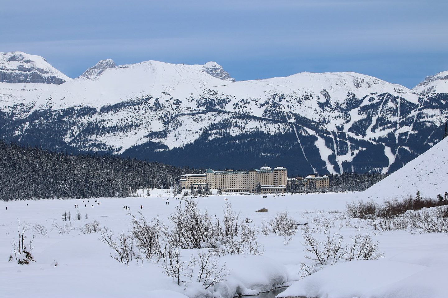 Adventure Traveller BANFF LAKE LOUISE WHAT S NEW FOR 2023   1920px Chateau Lake Louise 31806266153 1440x960 